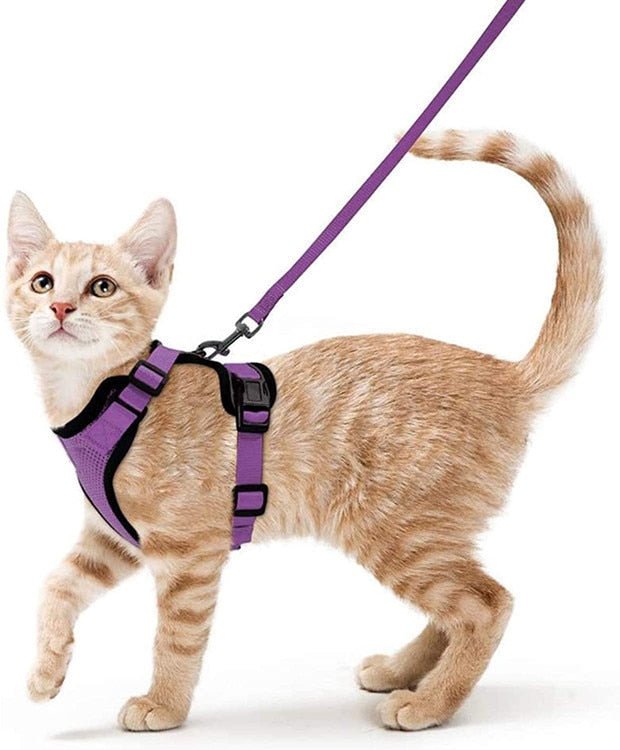 Soft Mesh Small Cat Harness