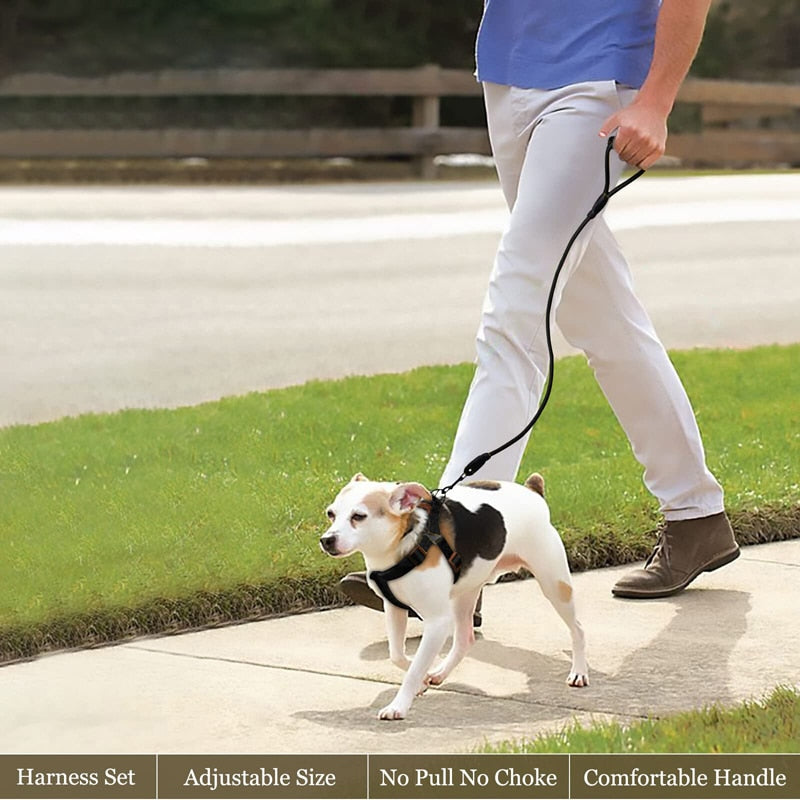 No Pull Dog Harness Leash