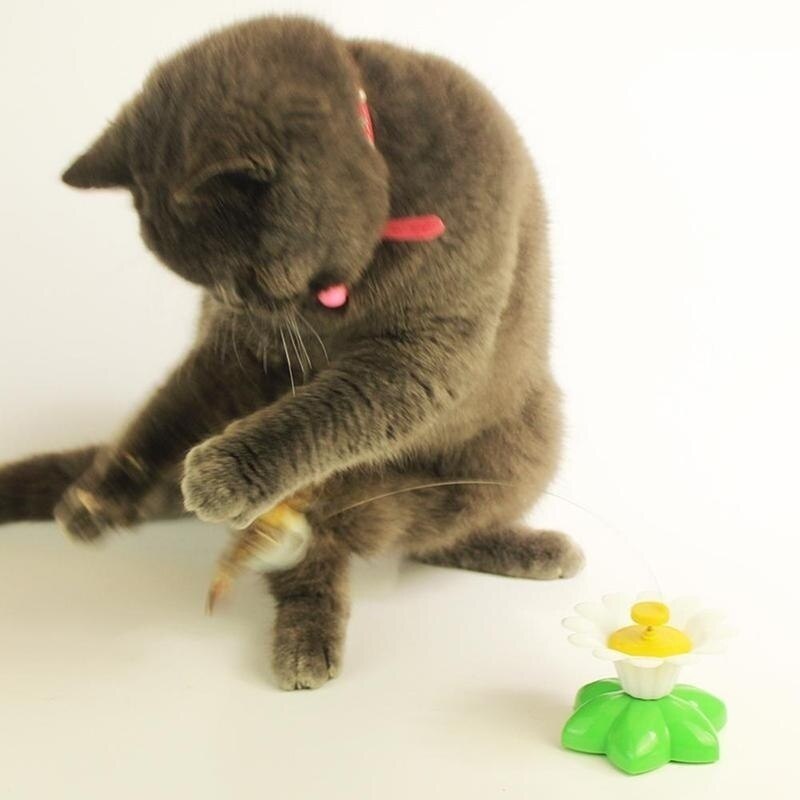 Flower Pet Cat Toy