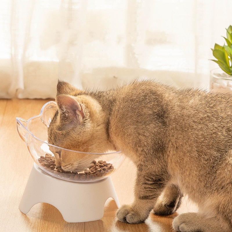 Cat Raised Stand Feeding Bowl