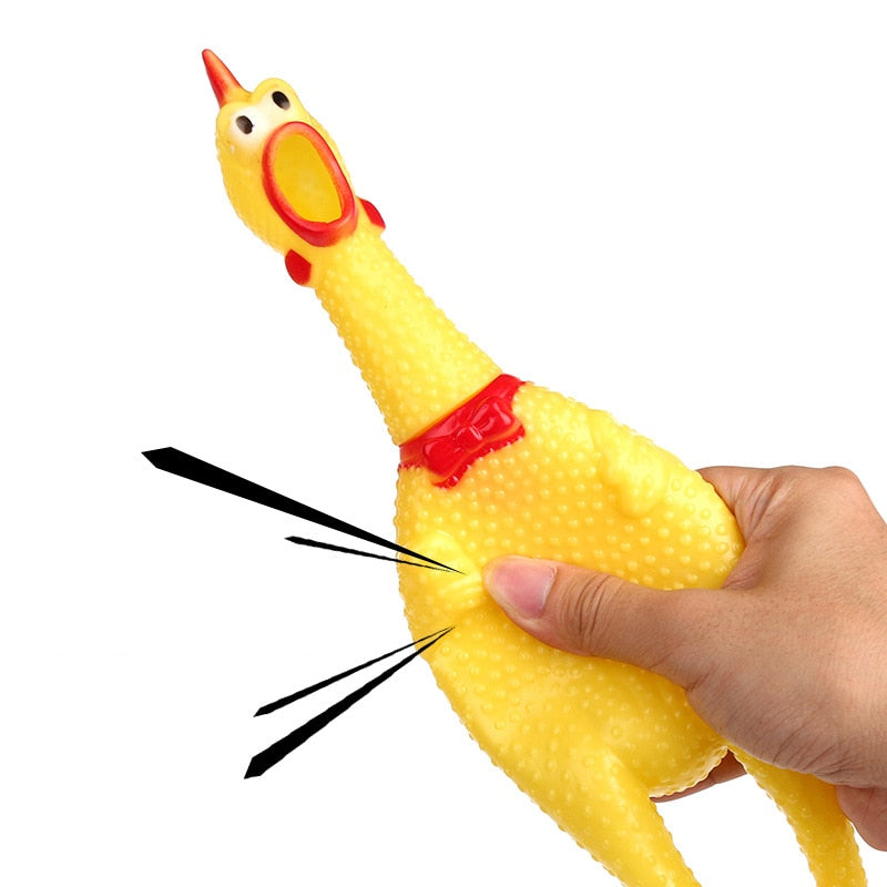 Dog Squeak Chicken Toys