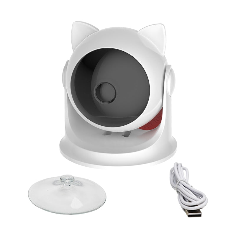 Teaser Cat Laser Toy