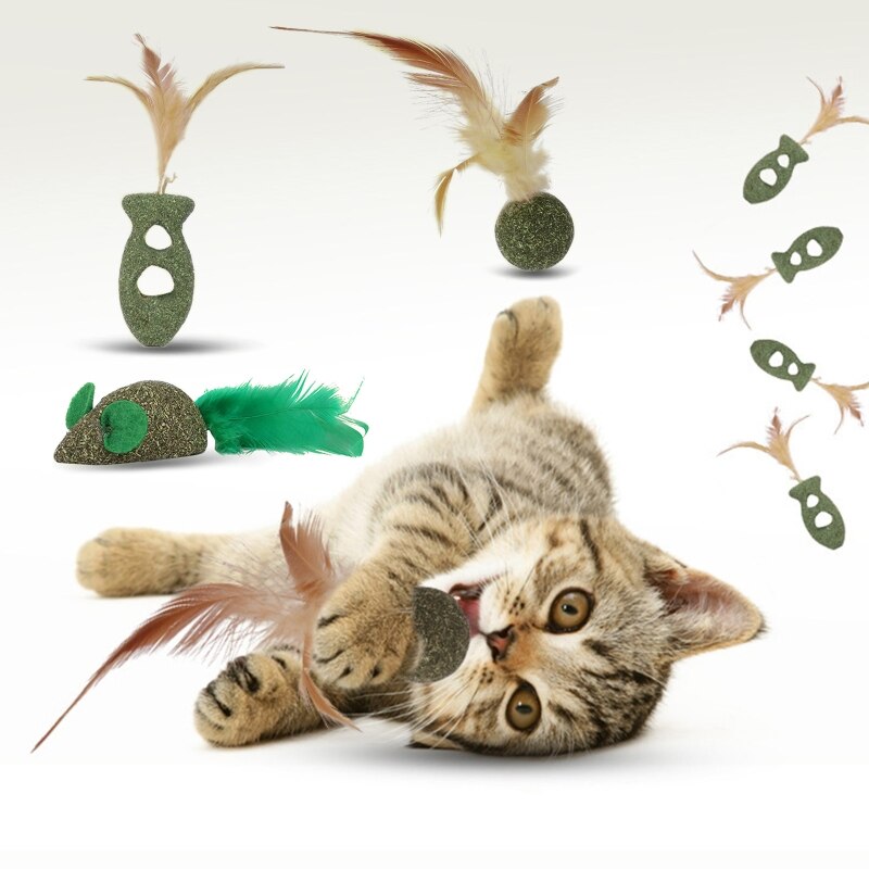 Natural Cat Chew Toy