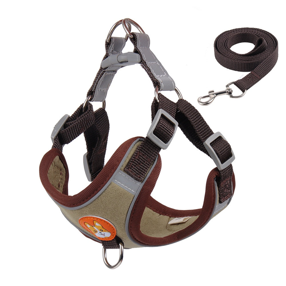 Pet Dog Harness and Leash Set