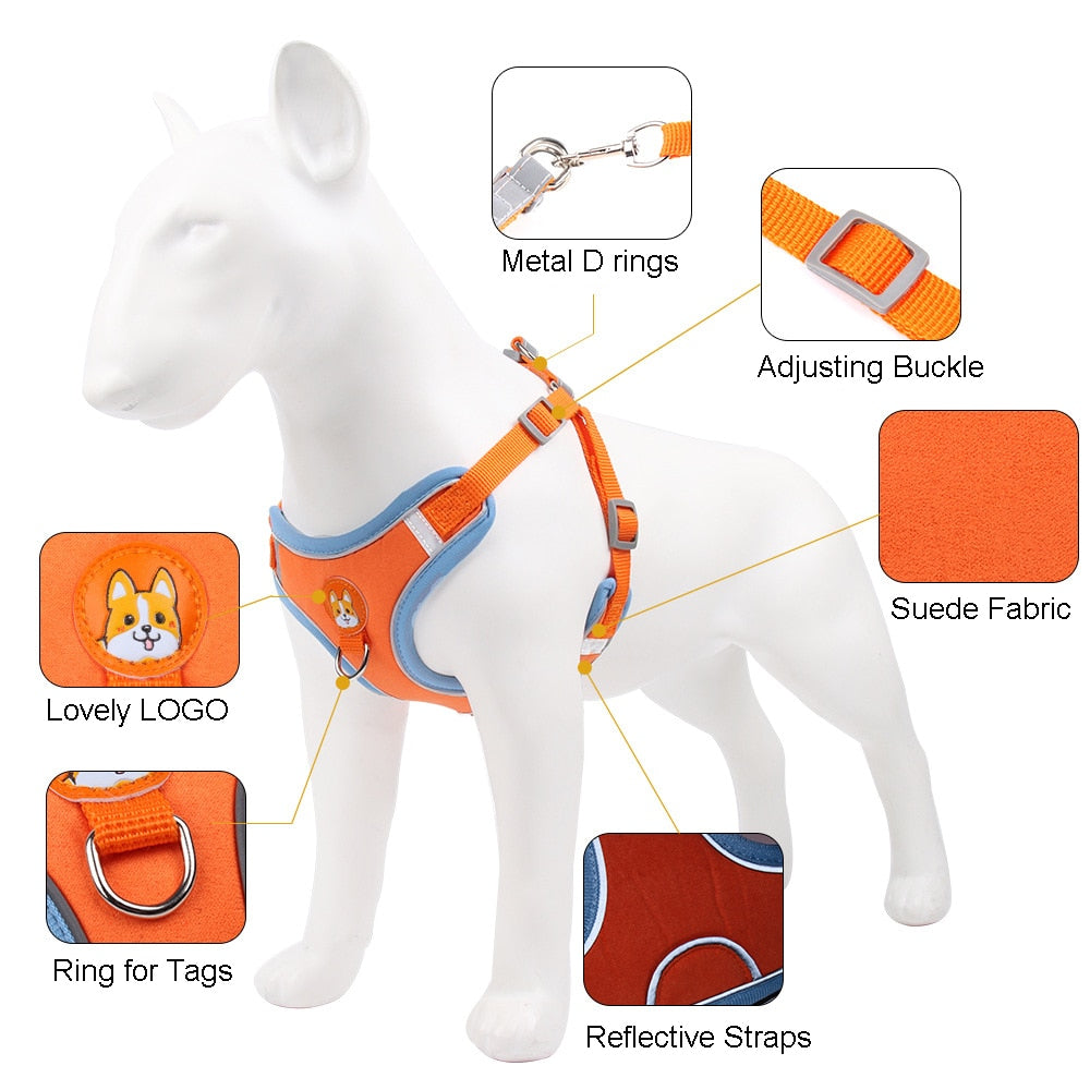 Pet Dog Harness and Leash Set