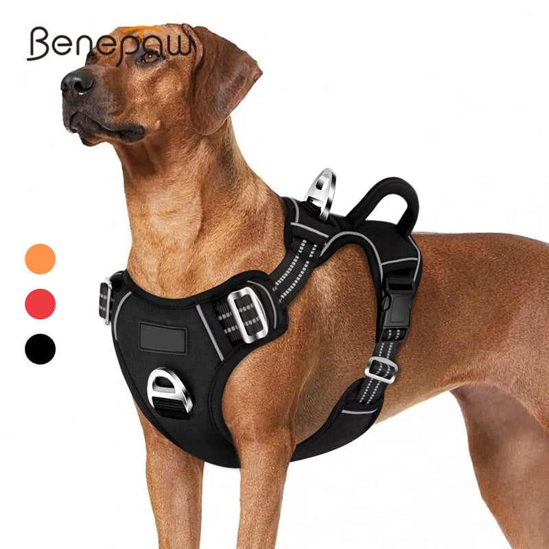 Vest Dog Harness