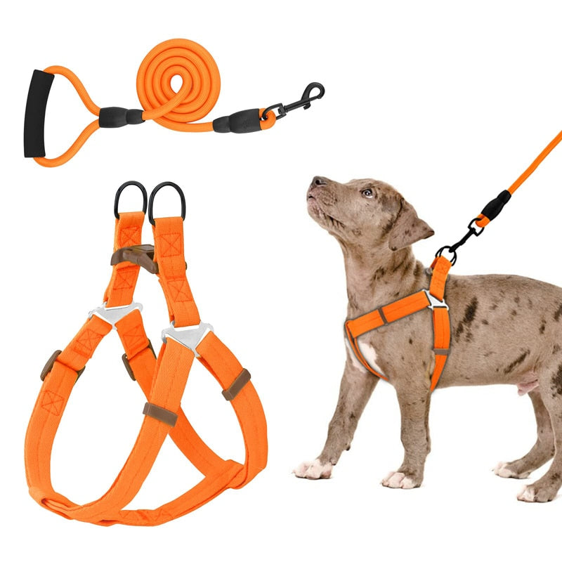 No Pull Dog Harness Leash