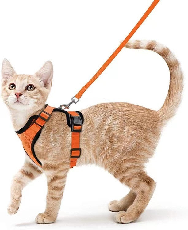 Reflective Cat Harness