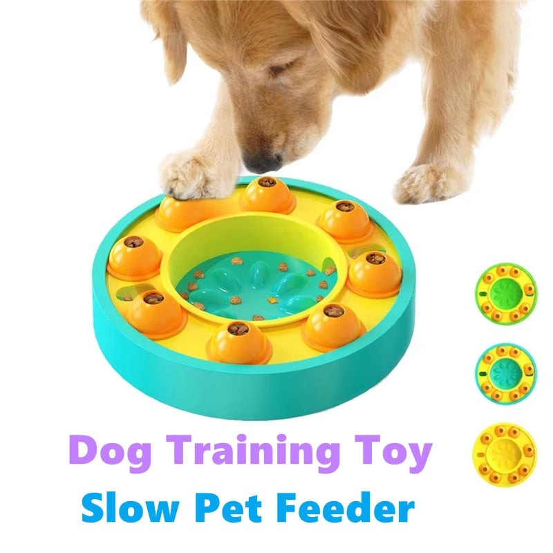 Dog Training Toys