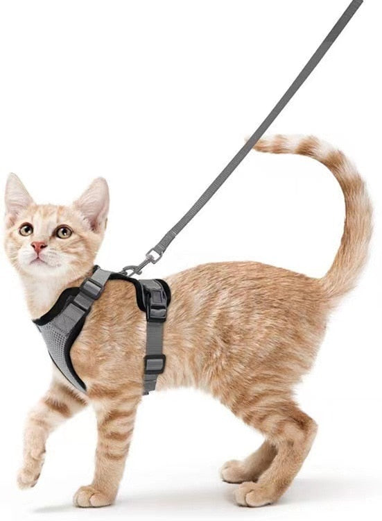 Reflective Cat Harness