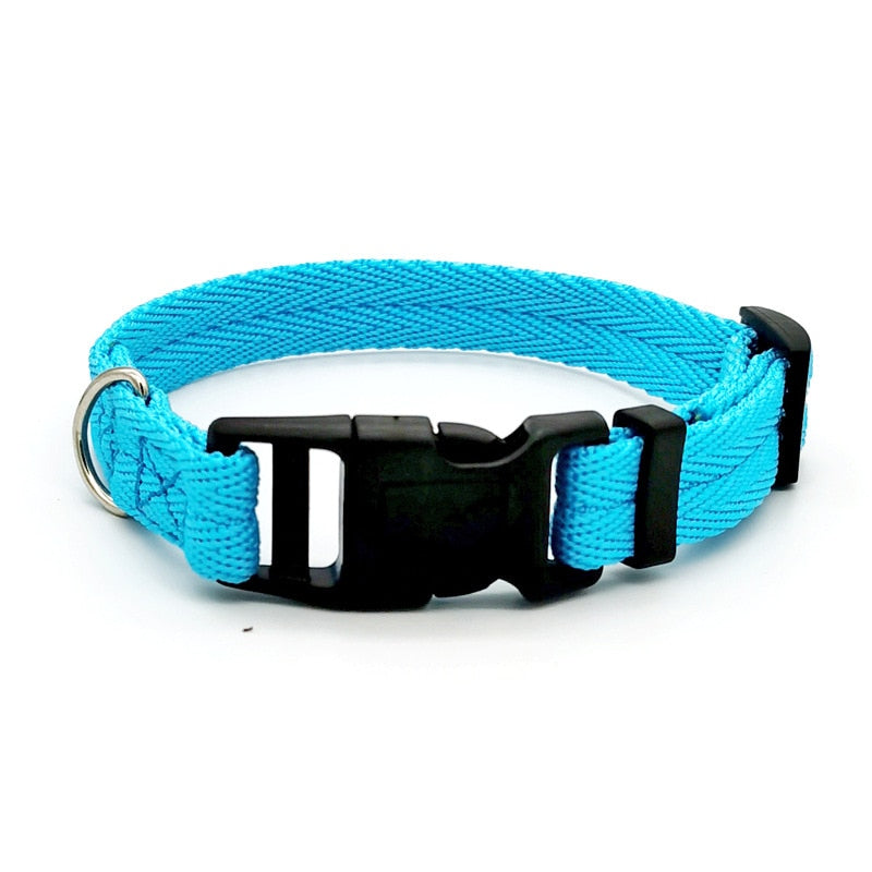 Quickly Disengaged Dog Training Collar