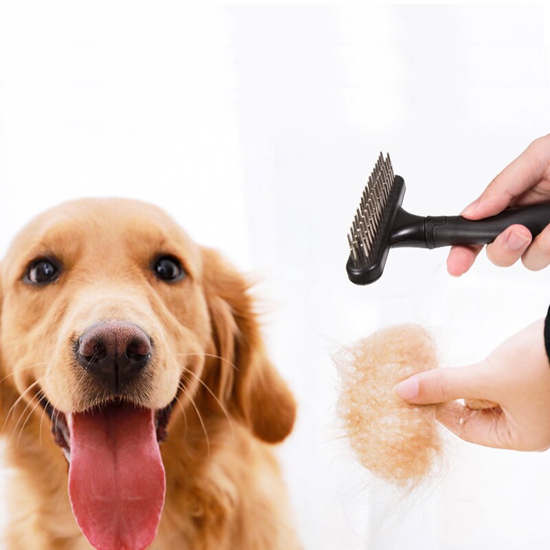 Dog Cat Hair Removal Com