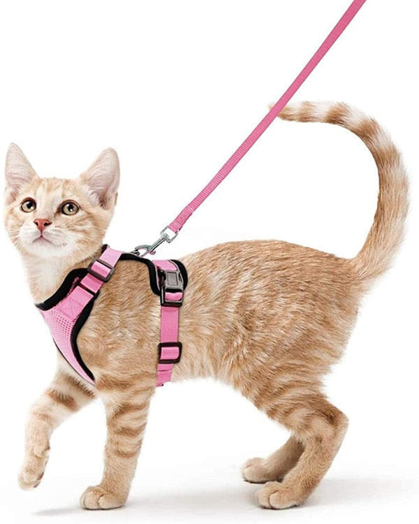 Reflective Cat Harness