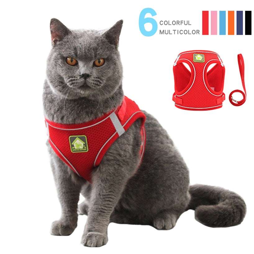 Reflective Cat Harness