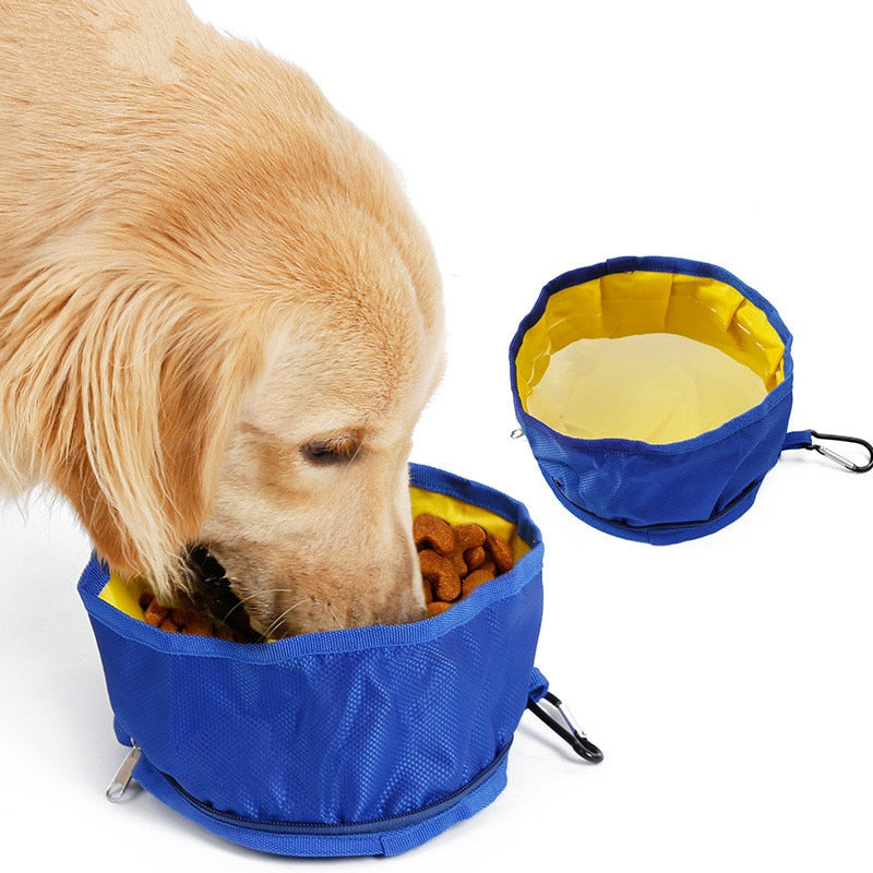 Collapsible Dog Feeding Bowl