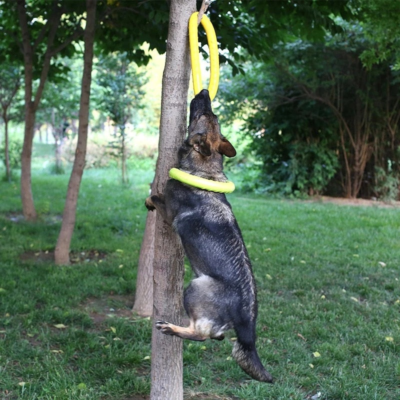 Dogs Training Flying Ring Toy