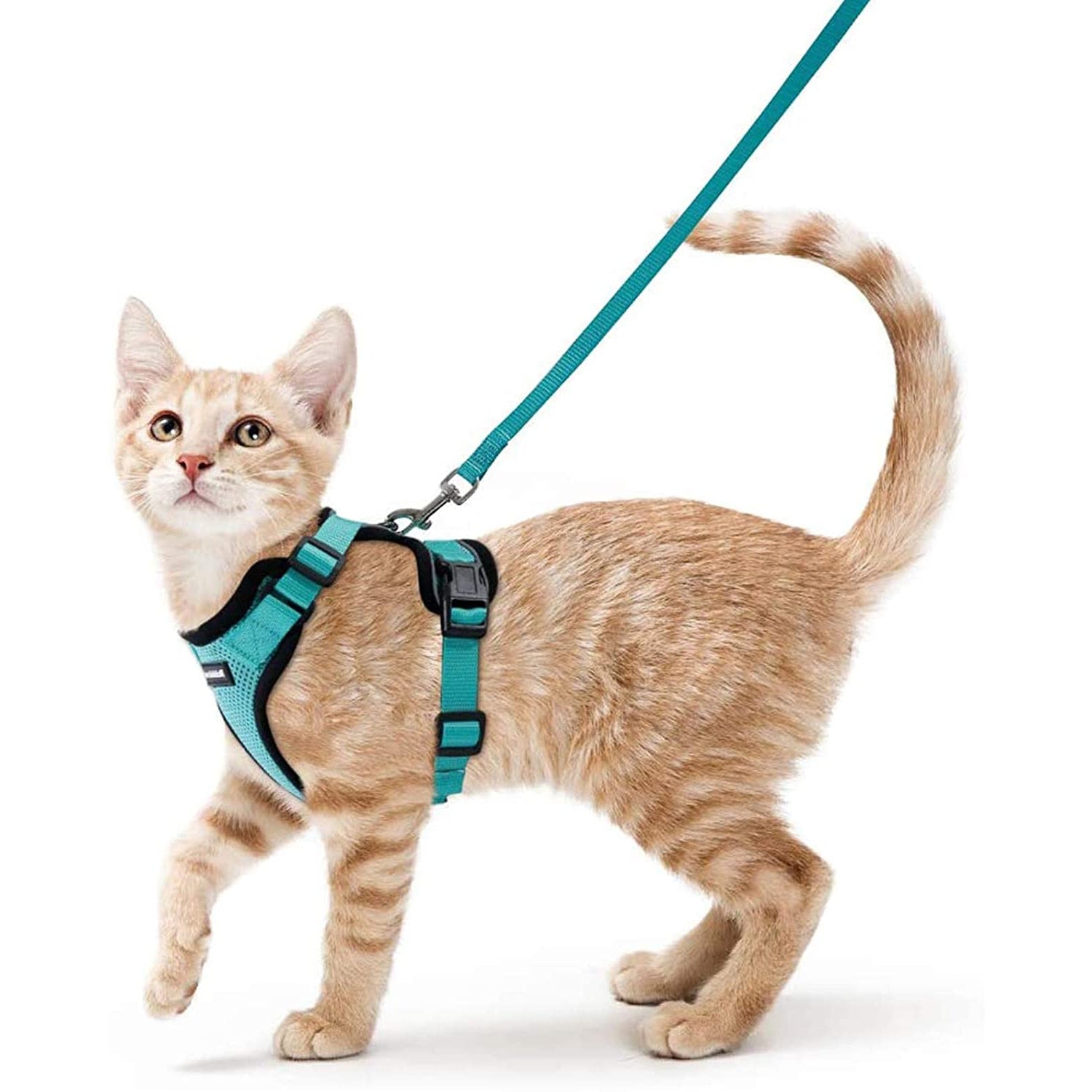 Soft Mesh Small Cat Harness