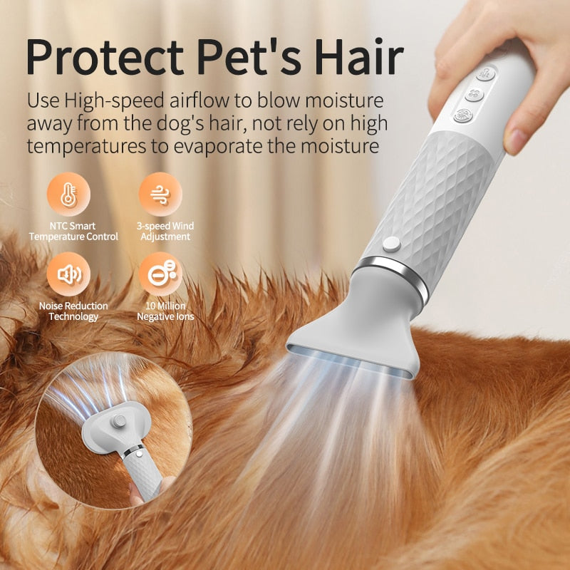 Portable 2 in 1 Pet Hair Dryer