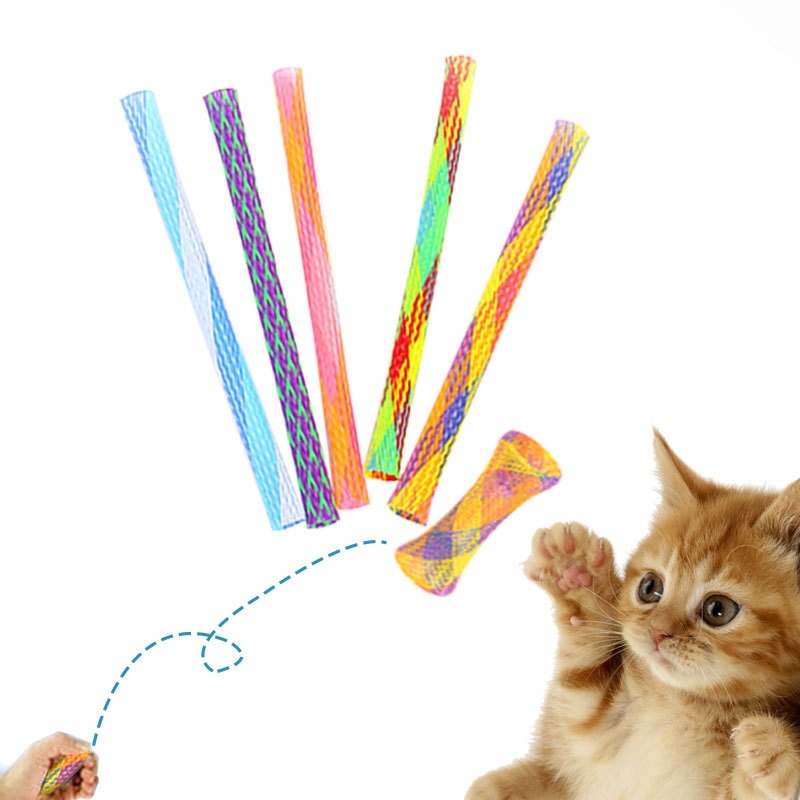 Spring Hose Kitten Toy