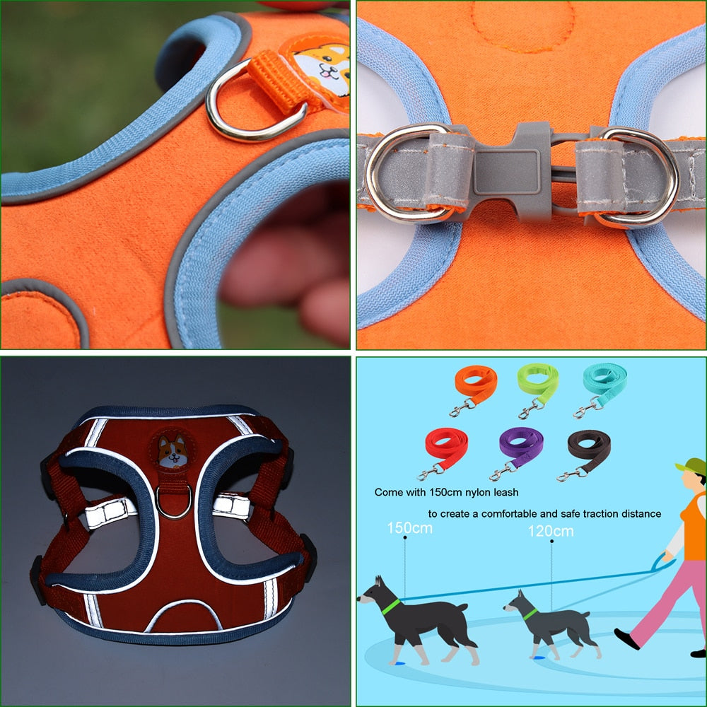 Pet Dog Harness and Leash Set