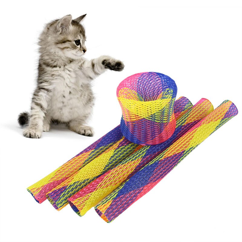 Spring Hose Kitten Toy