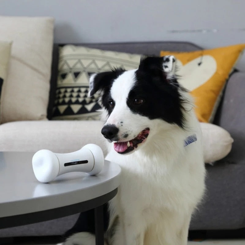 APP Control Moving Bone Dog Toys