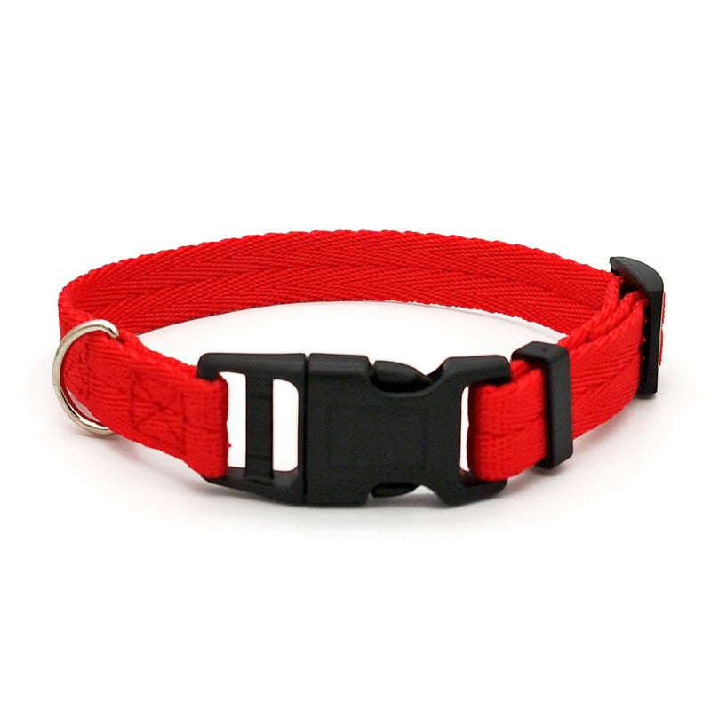 Quickly Disengaged Dog Training Collar