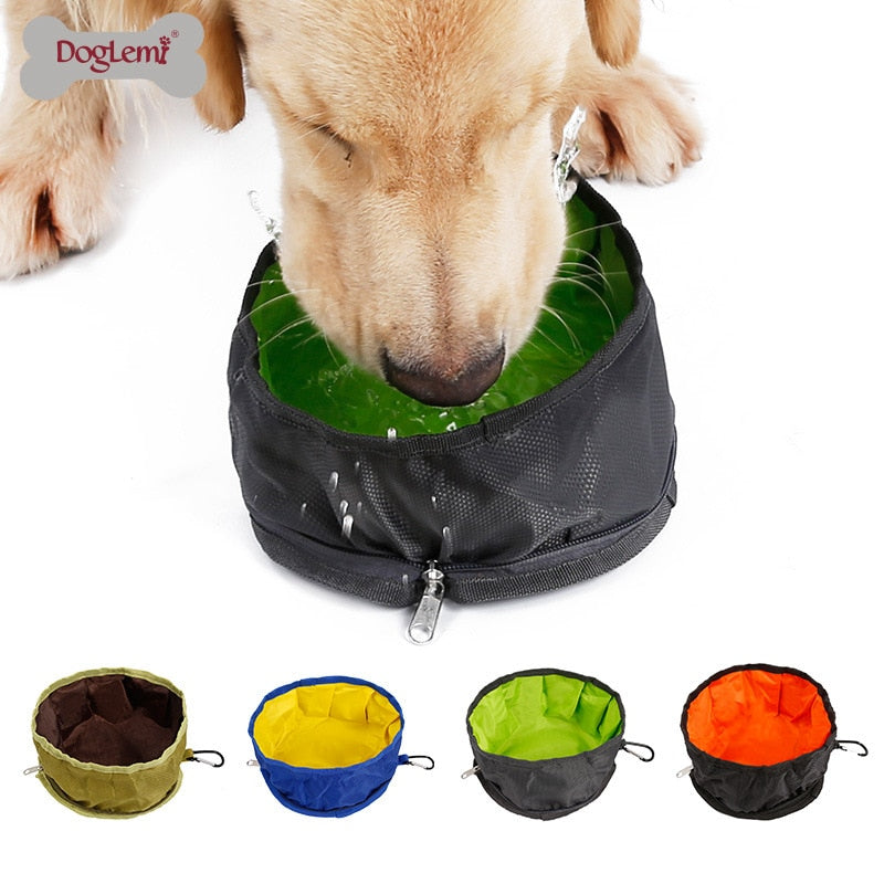 Collapsible Dog Feeding Bowl