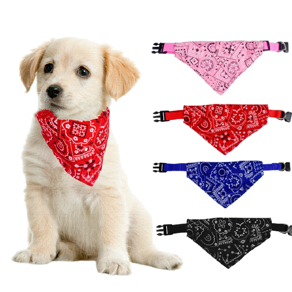 Dog Bandana Leather Collar