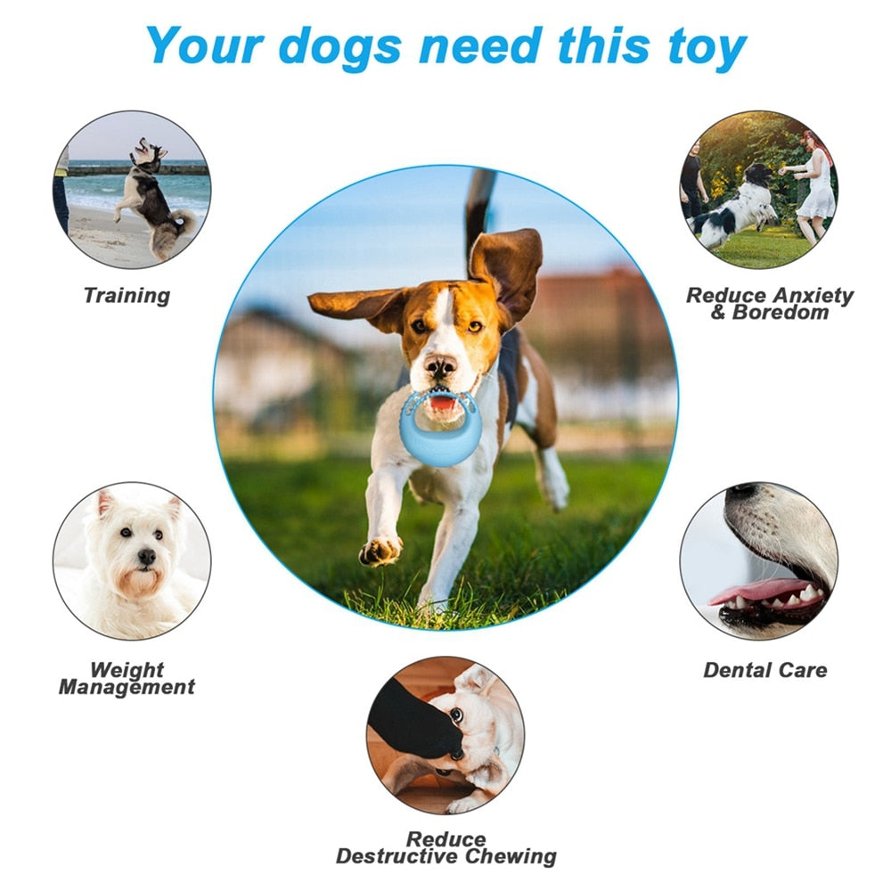 Rubber Bite Resistant Dog Chew Toys