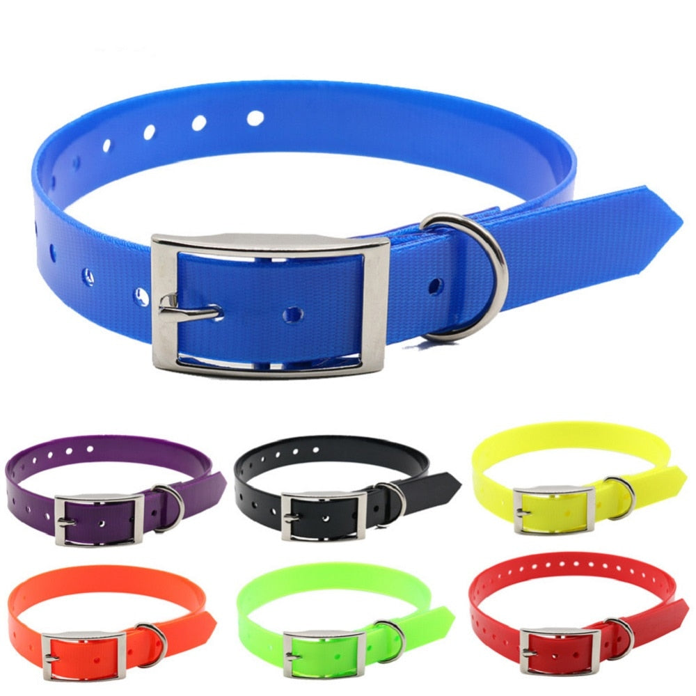 New Fashion Pet Dog Collar