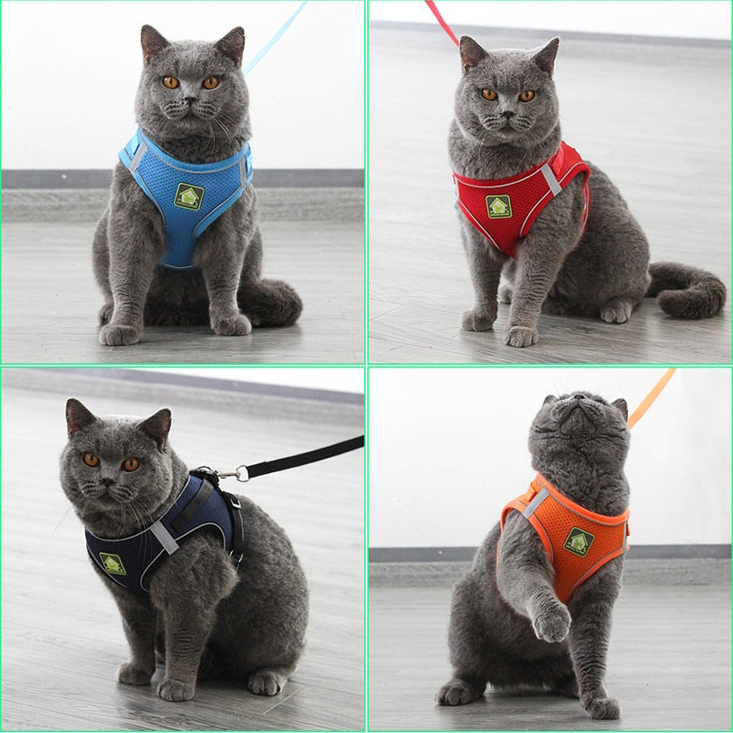 Reflective Cat Harness