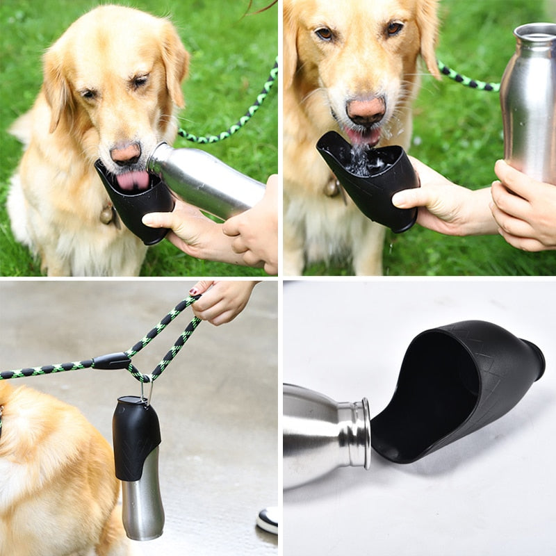 Stainless Steel Pet Water Dispenser