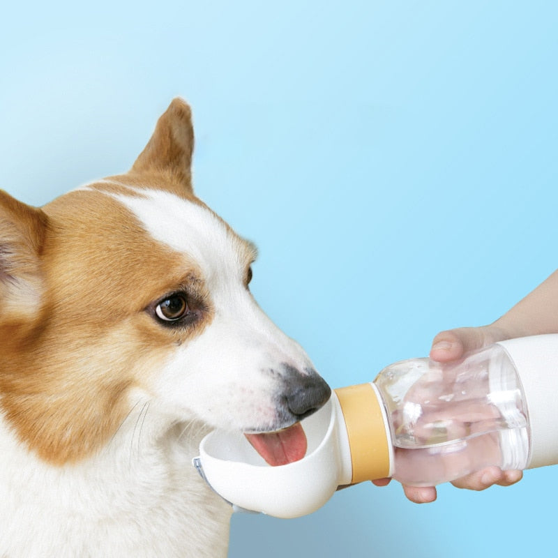 Dog Portable Water Bottle