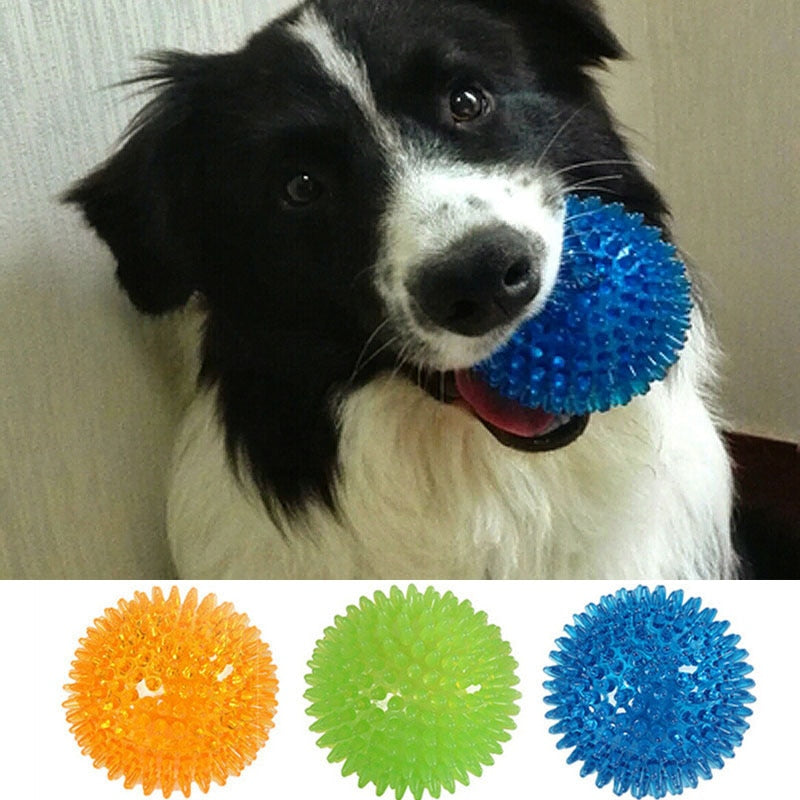 Squeaky Ball Dog Chewing Toys