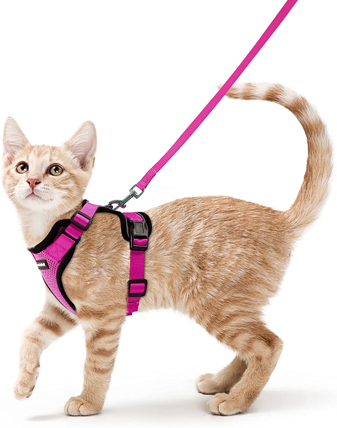 Soft Mesh Small Cat Harness