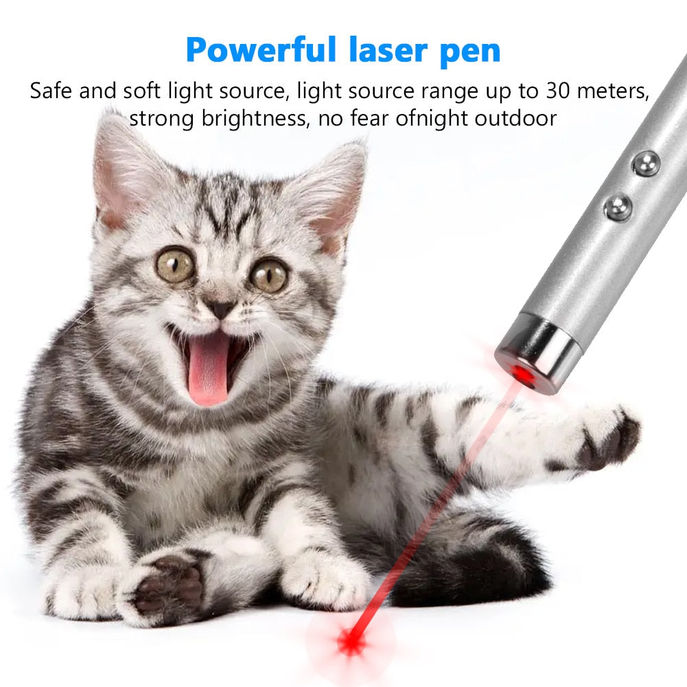 LED Laser pointer