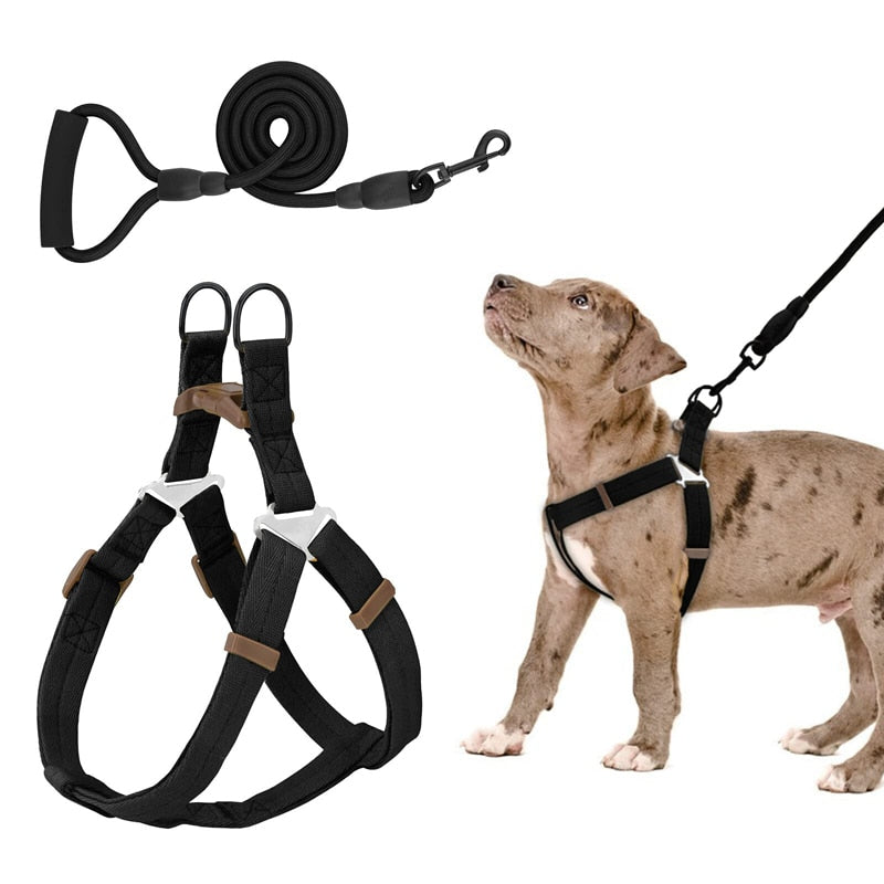 No Pull Dog Harness Leash