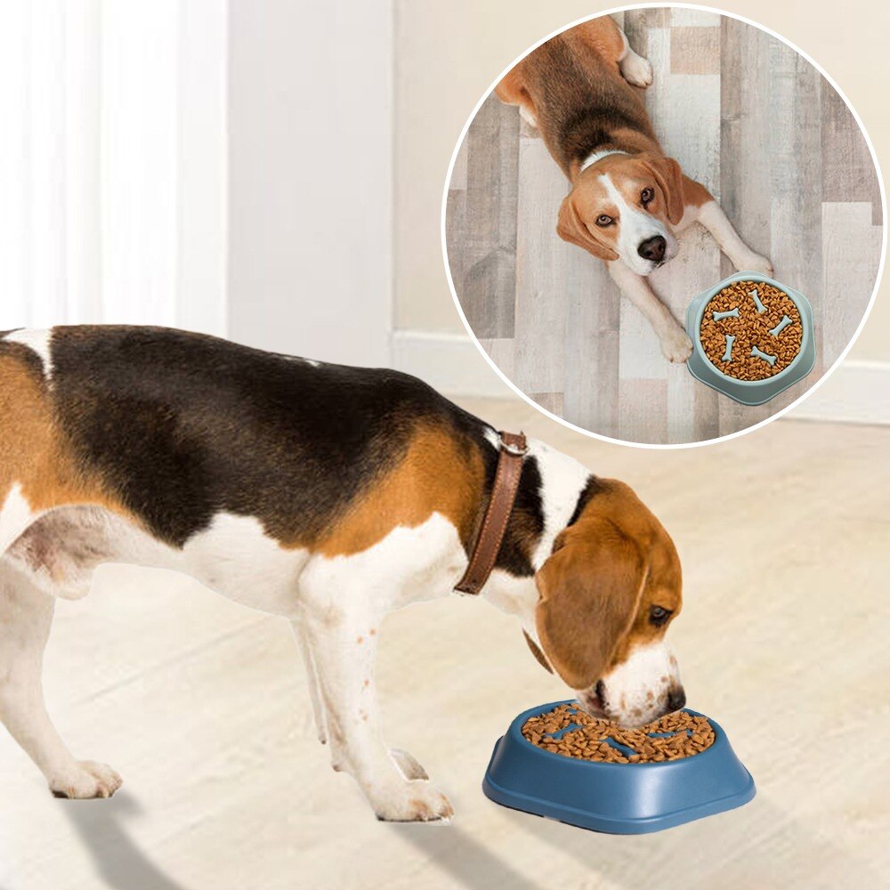 Dog Slow Down Eating Feeder Bowl