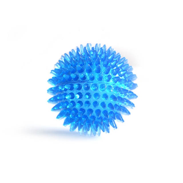 Squeaky Ball Dog Chewing Toys