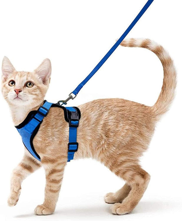 Reflective Cat Harness