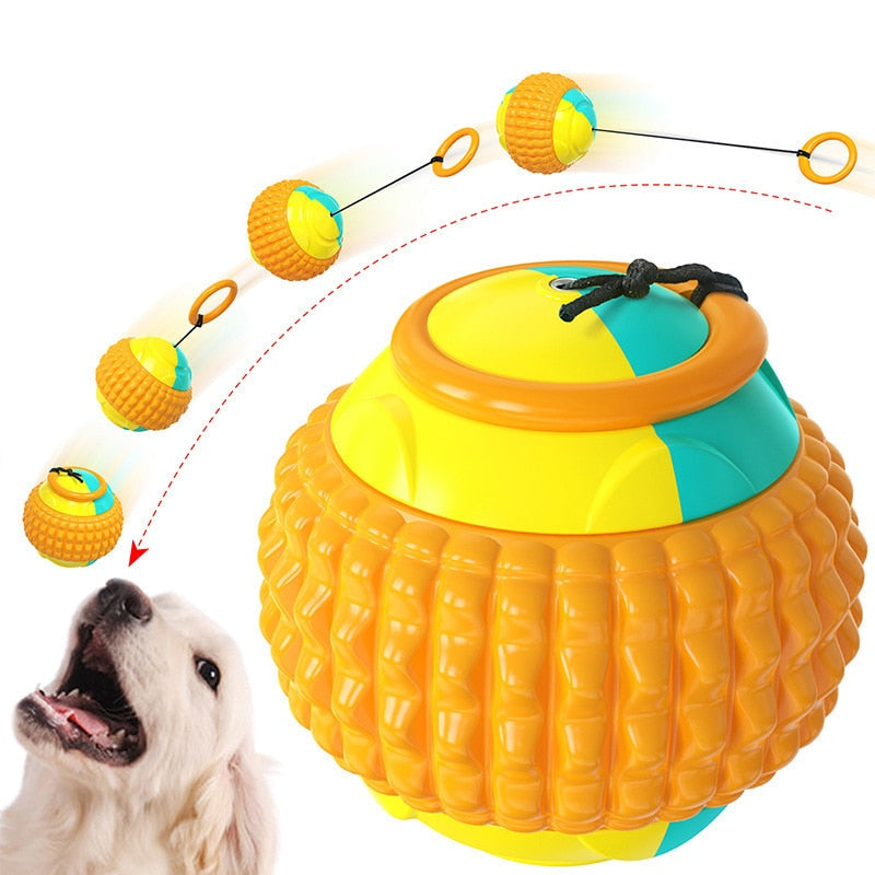 Dog UFO Feeder Toys