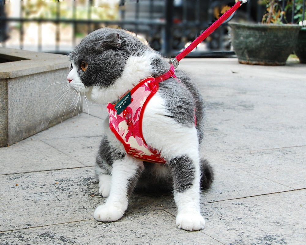 Cat Dot Print Cotton Harness Vest