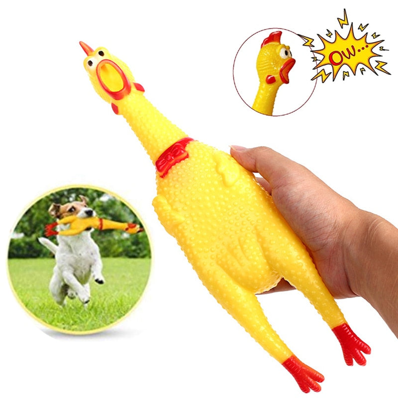 Dog Squeak Chicken Toys