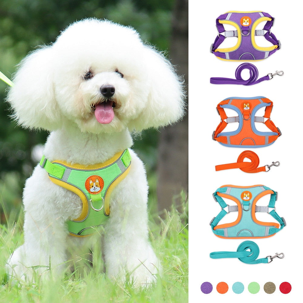 Pet Dog Harness and Leash Set